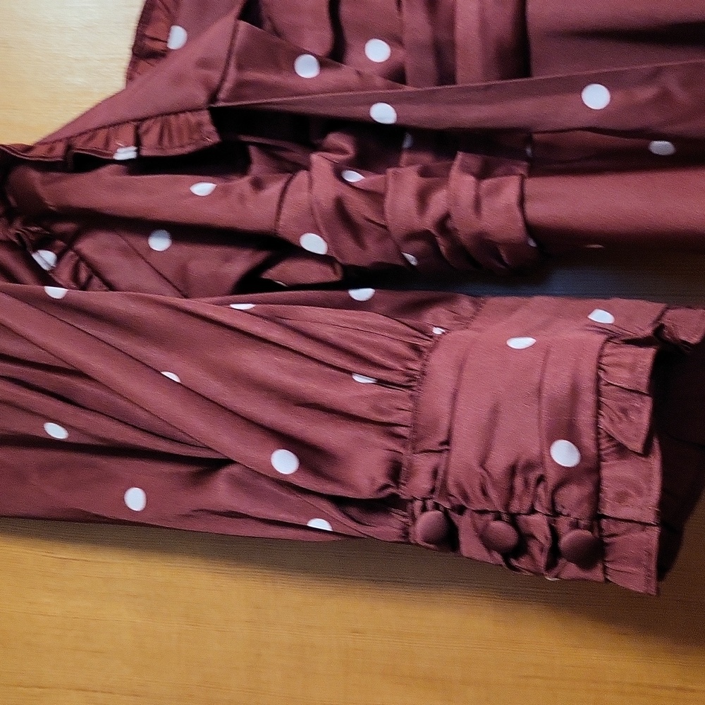 For Love And Lemons Davies Burgundy Polka Dot Swing Satin Dress - Picture 5 of 8